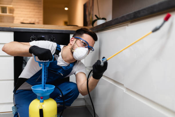 Reliable Brookdale, NJ Pest Control Solutions
