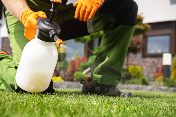 Best Wasp Removal Services  in Brookdale, NJ
