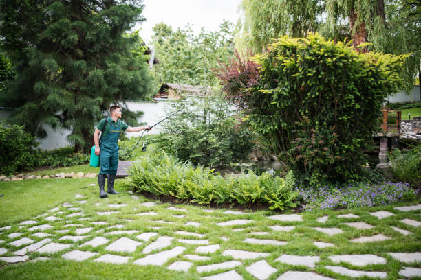 Best Mosquito Control Services  in Brookdale, NJ