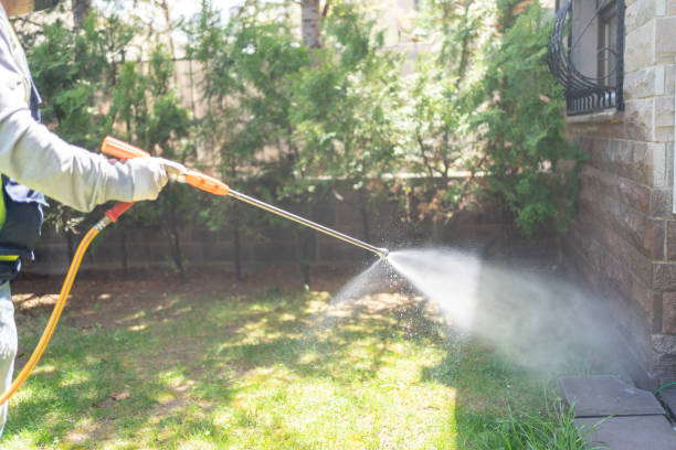 Best Pest Removal Services  in Brookdale, NJ
